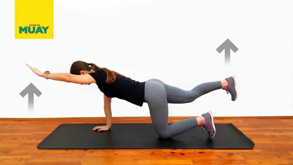 Predĺženie opačnej ruky a nohy v kľaku – stabilita a jadro