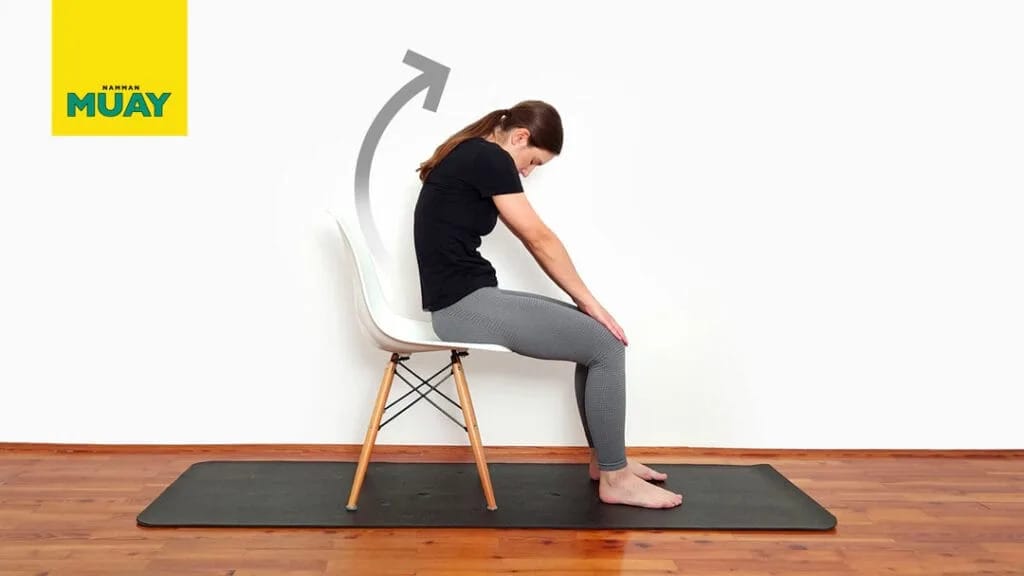 Sediaci mačací/psí cvik – zdravá chrbtica v pohybe